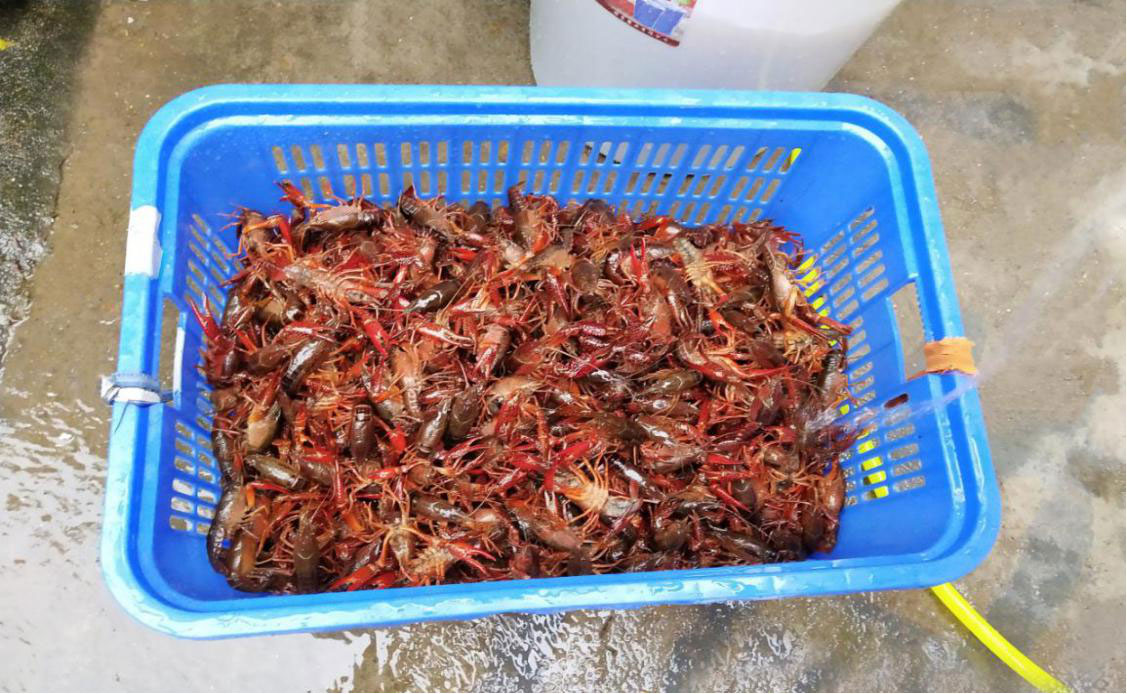 恒之发聚餐活动